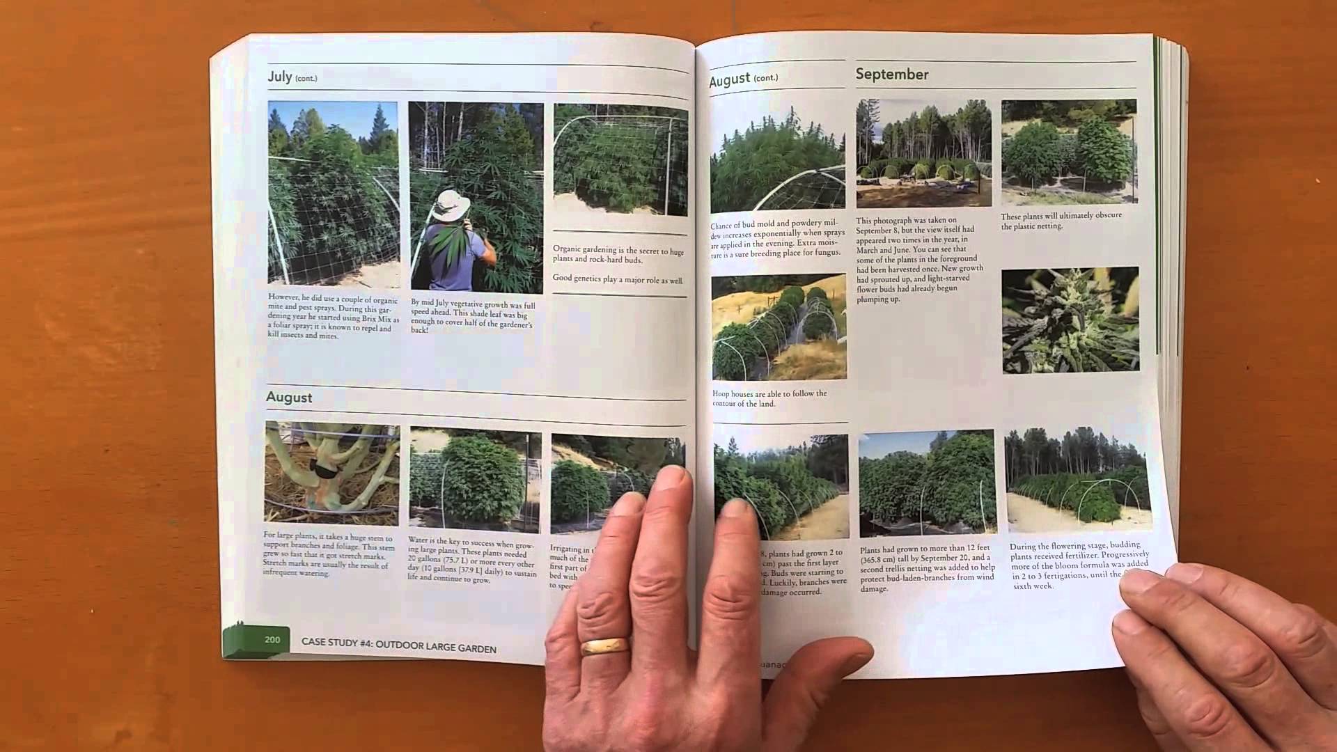 The Cannabis Encyclopedia Cannabis Now Magazine