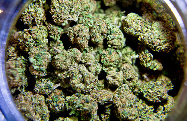 Medical Marijuana Arkansas Cannabis Now Magazine