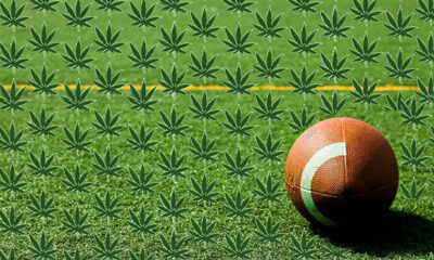 A football field is covered in a pattern of pot leaves and a football sits on the field. An ex-NFL player claims that 60-70% of all players use marijuana.