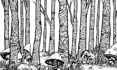Stoner's Coloring Book Trees and Mushrooms