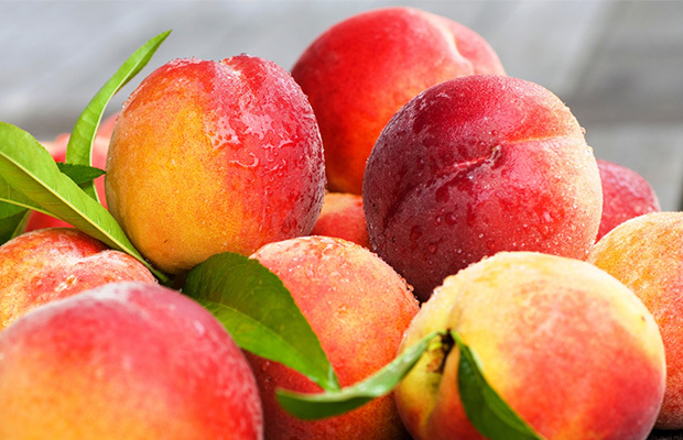 Palisade Peaches: Delicious Colorado History