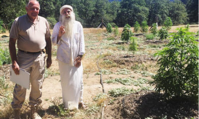 Swami Select Cannabis Now Magazine