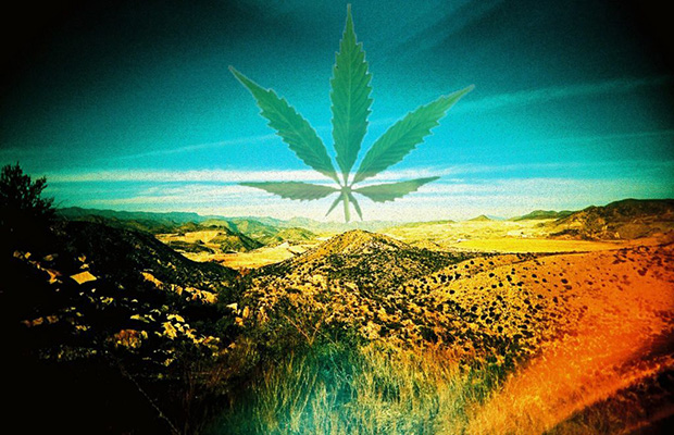 Arizona Marijuana Legalization Cannabis Now