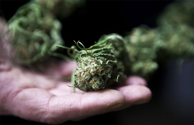 Israel Medical Marijuana Cannabis Now