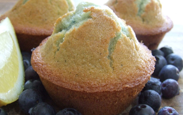 Blueberry Muffin Cannabis Now Magazine