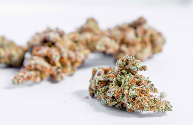 Minnesota Medical Marijuana