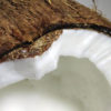 Dairy Free Canna-Coconut Milk Cannabis Now Magazine