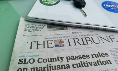 California Cannabis Now