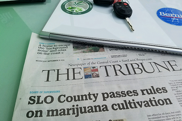 California Cannabis Now