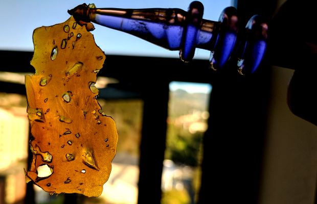 The popularity and demand for cannabis concentrates have experienced massive growth in the last few years. California is home to many fine concentrate extractors, and Terp Boys is high on the list of companies offering a wide array of flavors at compassionate prices.