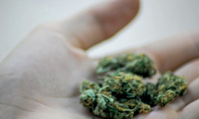 Arkansas Medical Marijuana Cannabis Now