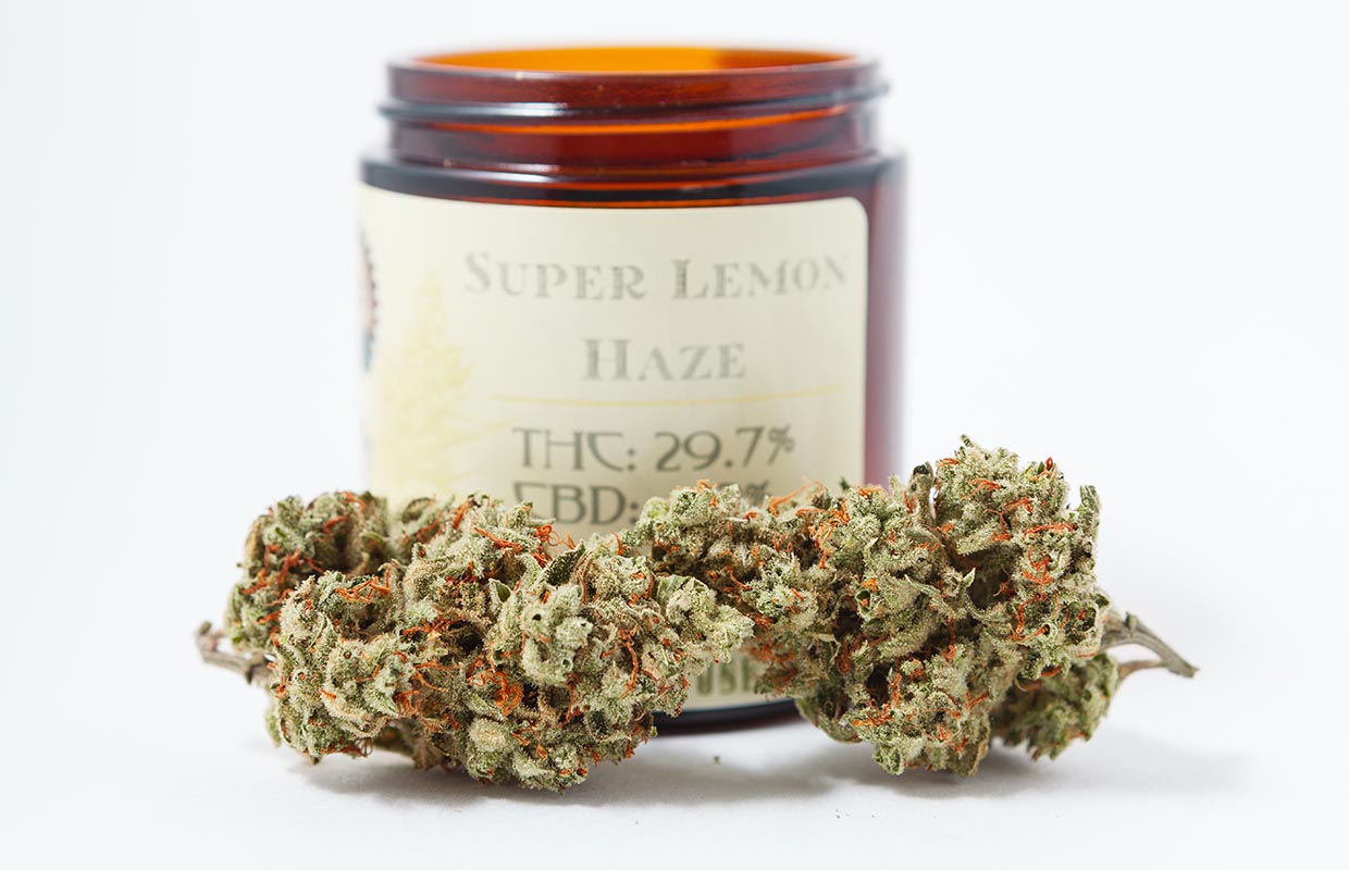 Super Lemon Haze Strain Review C.R.A.F.T. Cannabis