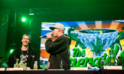 Humboldt growers and hip hop monsters, Mendo Dope, placed at the Emerald Cup and spoke with Cannabis Now.