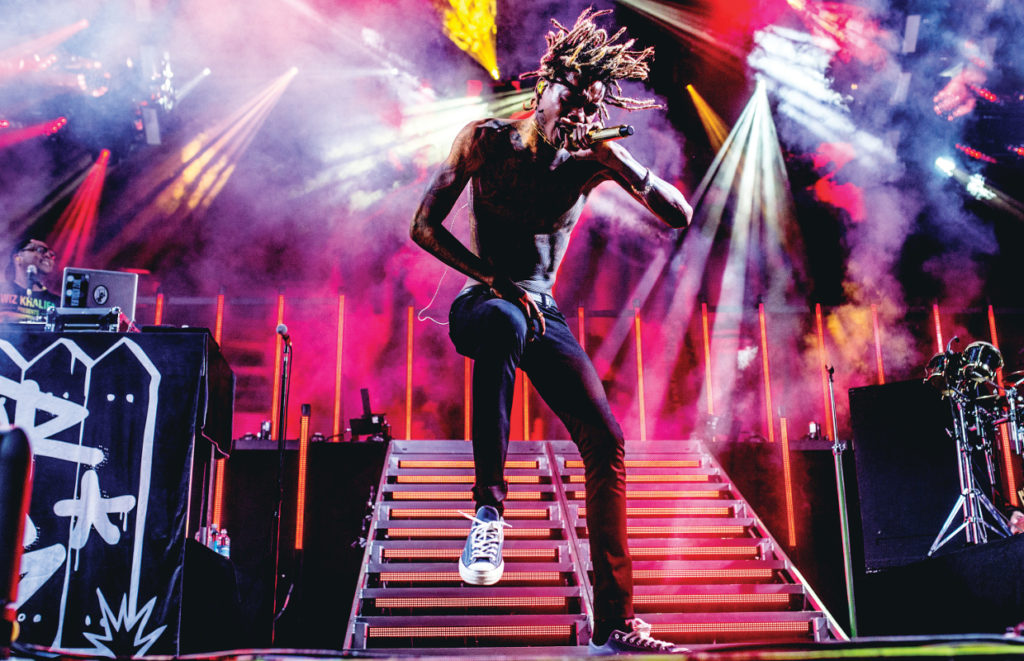 Wiz Khalifa has become a household name for his multi-platinum success as a hip hop artist and his conspicuous cannabis consumption.