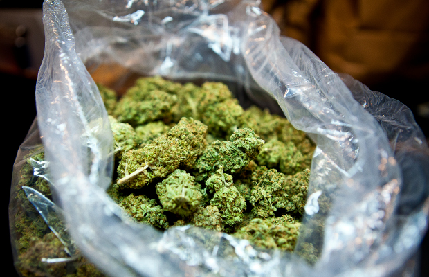 Seven Pounds of Marijuana Shipped to Wrong Address | Cannabis Now