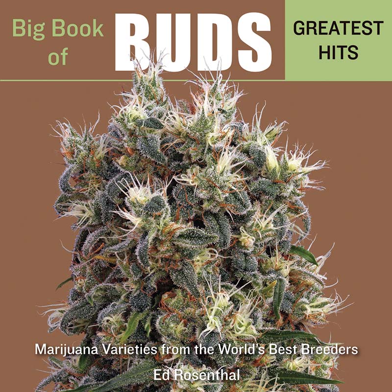 The Big Book of Buds Greatest Hits by Ed Rosenthal Cannabis Now Book Review