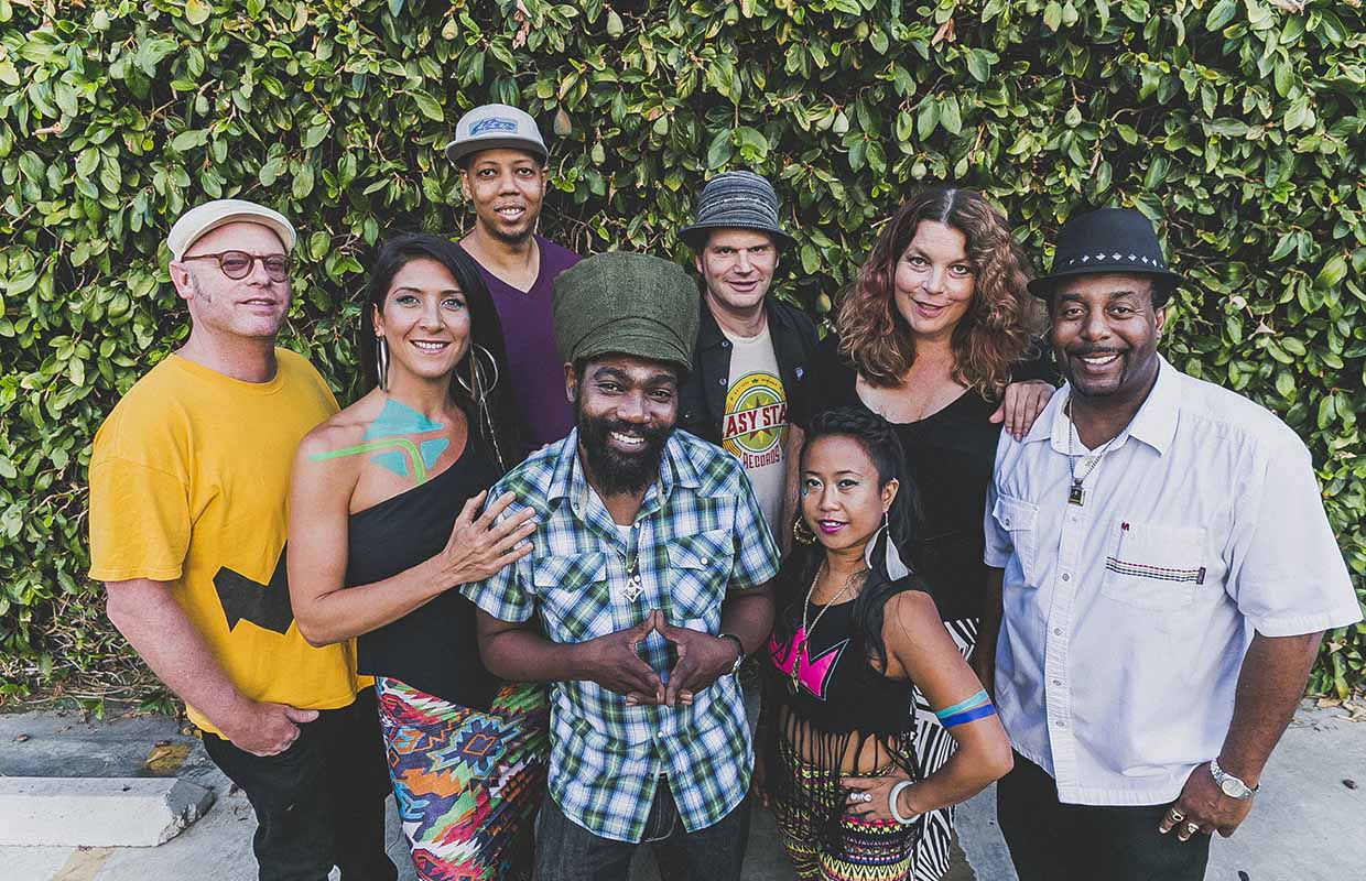 Easy All Stars Cannabis Now