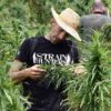 Franco Loja Strainhunters Cannabis Now