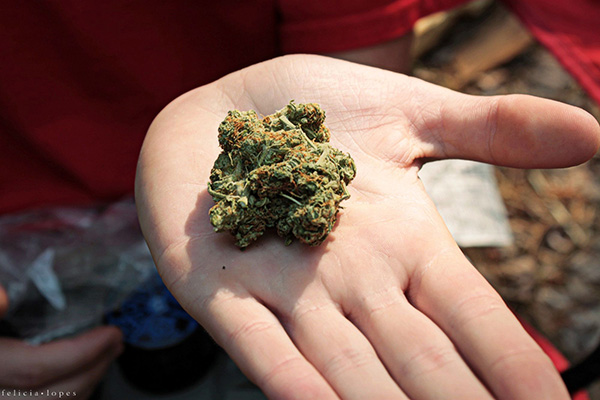 Wisconsin Medical Marijuana