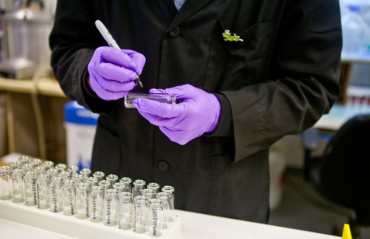 A scientist in purple gloves and black lab coat labels vials ready for testing CBD