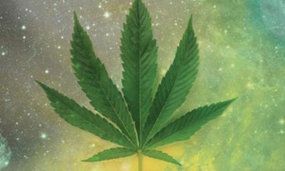 Cannabis and Spirituality Cannabis Now Magazine