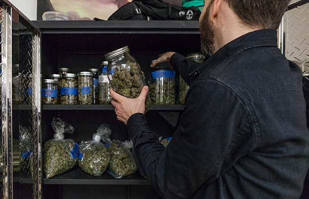 San Francisco indoor grow jars stash cannabis now