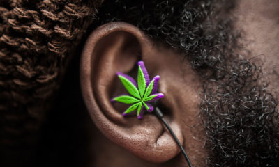 A purple and green pot leaf on an ear bud rests in a mans ear as he tokes and listens to music, a match that works on a scientific level.