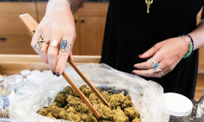 A bud tender pulls out large nugs from a bag with wooden tongs.