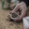 Kansas City Decriminalize Marijuana Cannabis Now