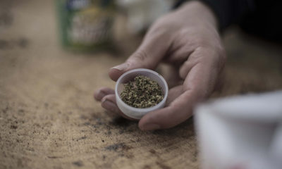 Kansas City Decriminalize Marijuana Cannabis Now