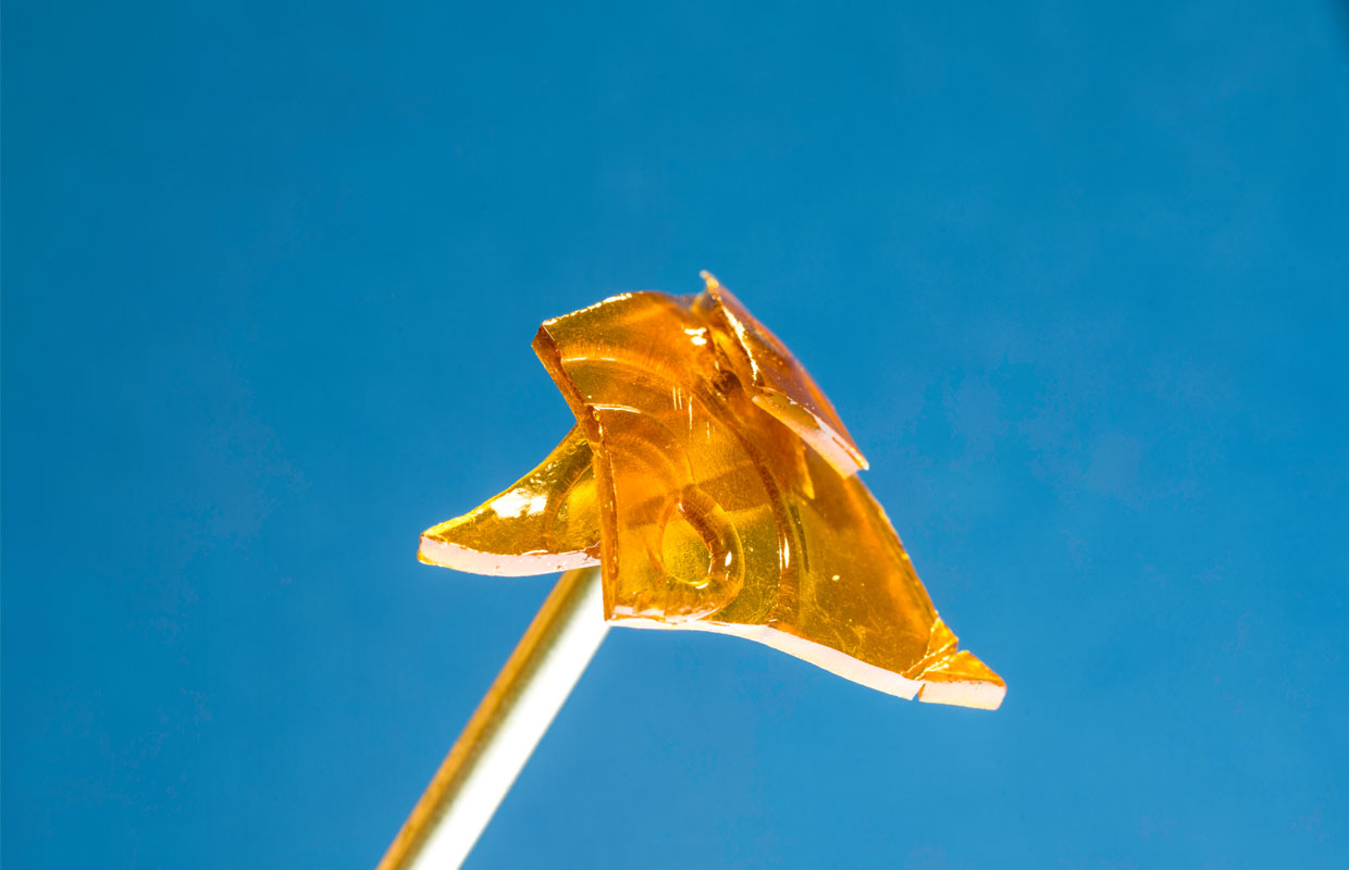 A blue background showcases beautiful pieces of shatter on a nail at Bolder Cannabis.