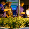 Following a night of festivities across the cannabis industry’s spiritual home in Oakland, the final day of the National Cannabis Industry Association’s Summit & Expo hit on emerging issues like tax reform and industry-wide packaging standards.