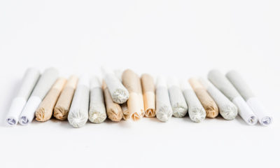 A line of different pre-rolled cone joints lie next to one another in competition to be the best pre-roll.
