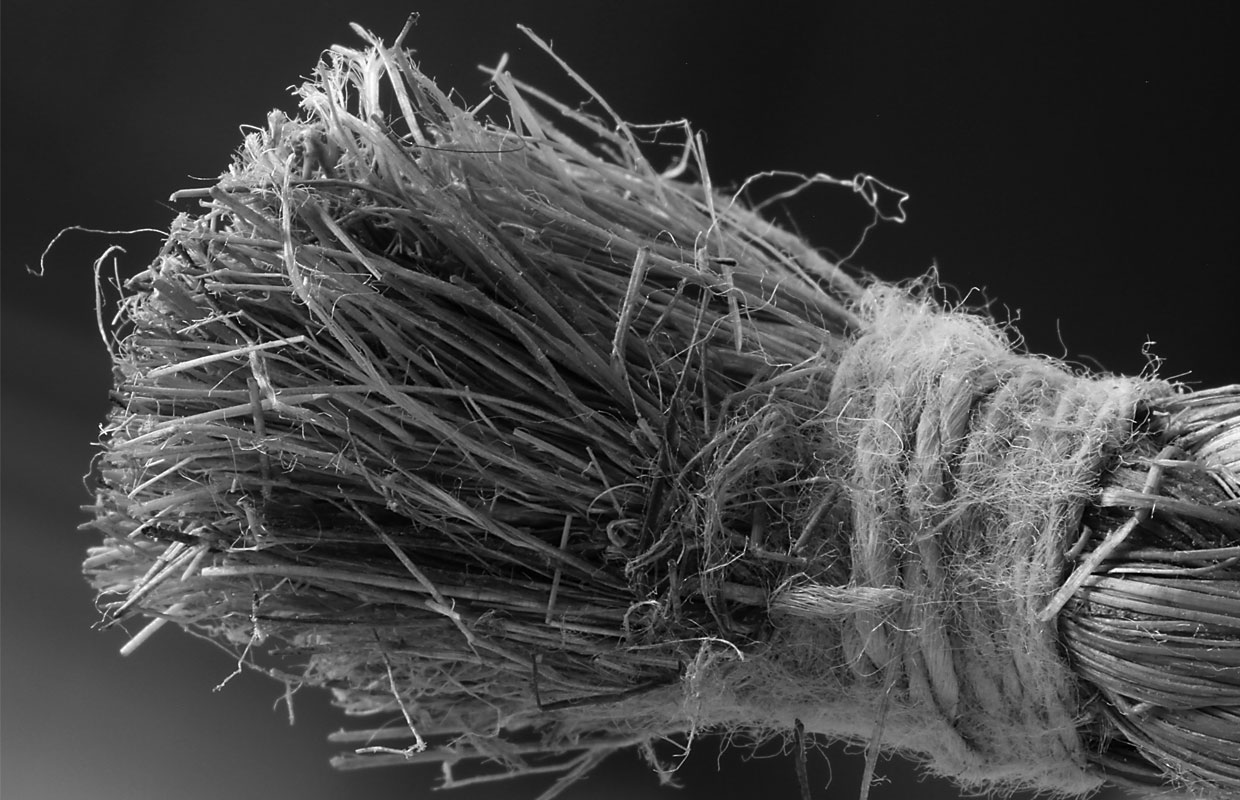 A black and white image of a bundle of dried hemp fibers.
