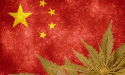 China has quietly filed for more than half of the 600 patents connected to Chinese hemp.