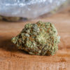 Cannabis Distribution Nevada Cannabis Now Magazine