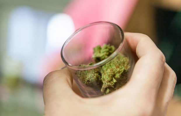 Can I Touch the Buds? (Probably Not) | Cannabis Now