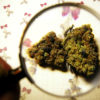 Duerte War on Drugs Cannabis Now