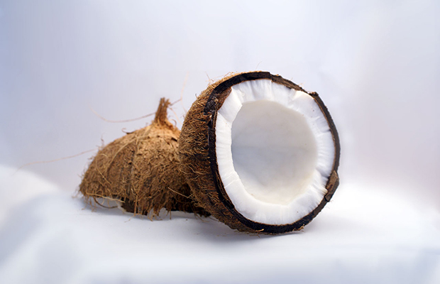 Coconut Edibles Cannabis Now