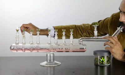 GRAV labs Cannabis Now