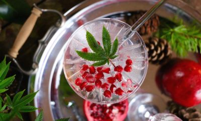pot cocktail with pomagranate