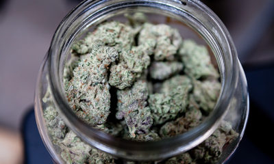 California Distribution Cannabis Now