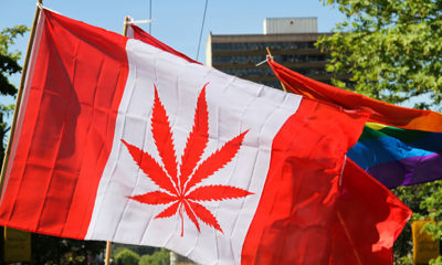 Canada Market Cannabis Now