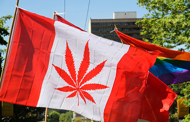 Canada Market Cannabis Now