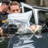 Former Police Cannabis Now