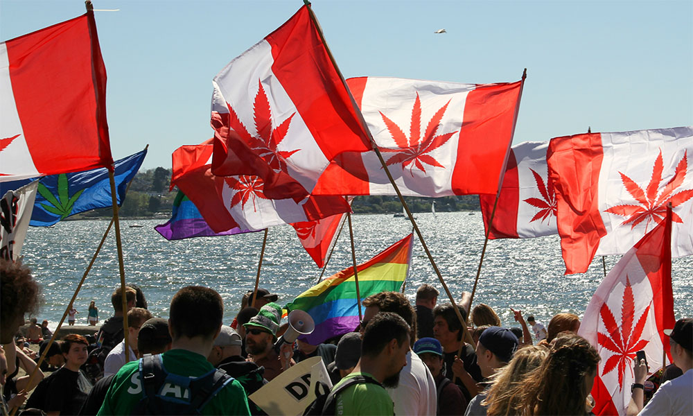 Image result for canada cannabis