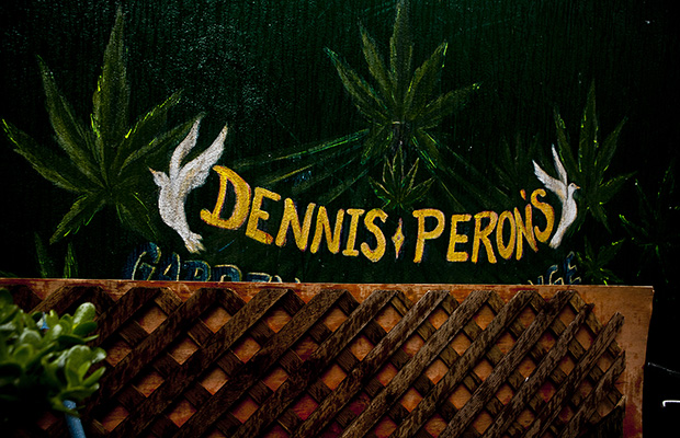 Dennis Peron Cannabis Now