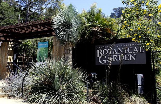 Botanical Garden Cannabis Now