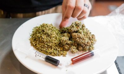 FDA pot experts Cannabis Now