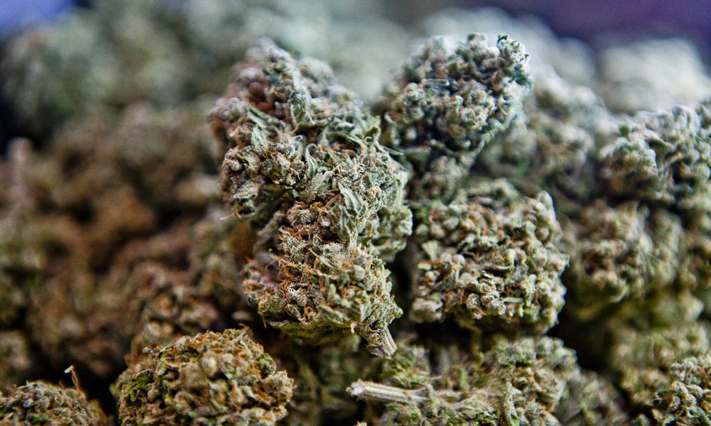 Jeff Sessions Medical Marijuana Benefits Cannabis Now